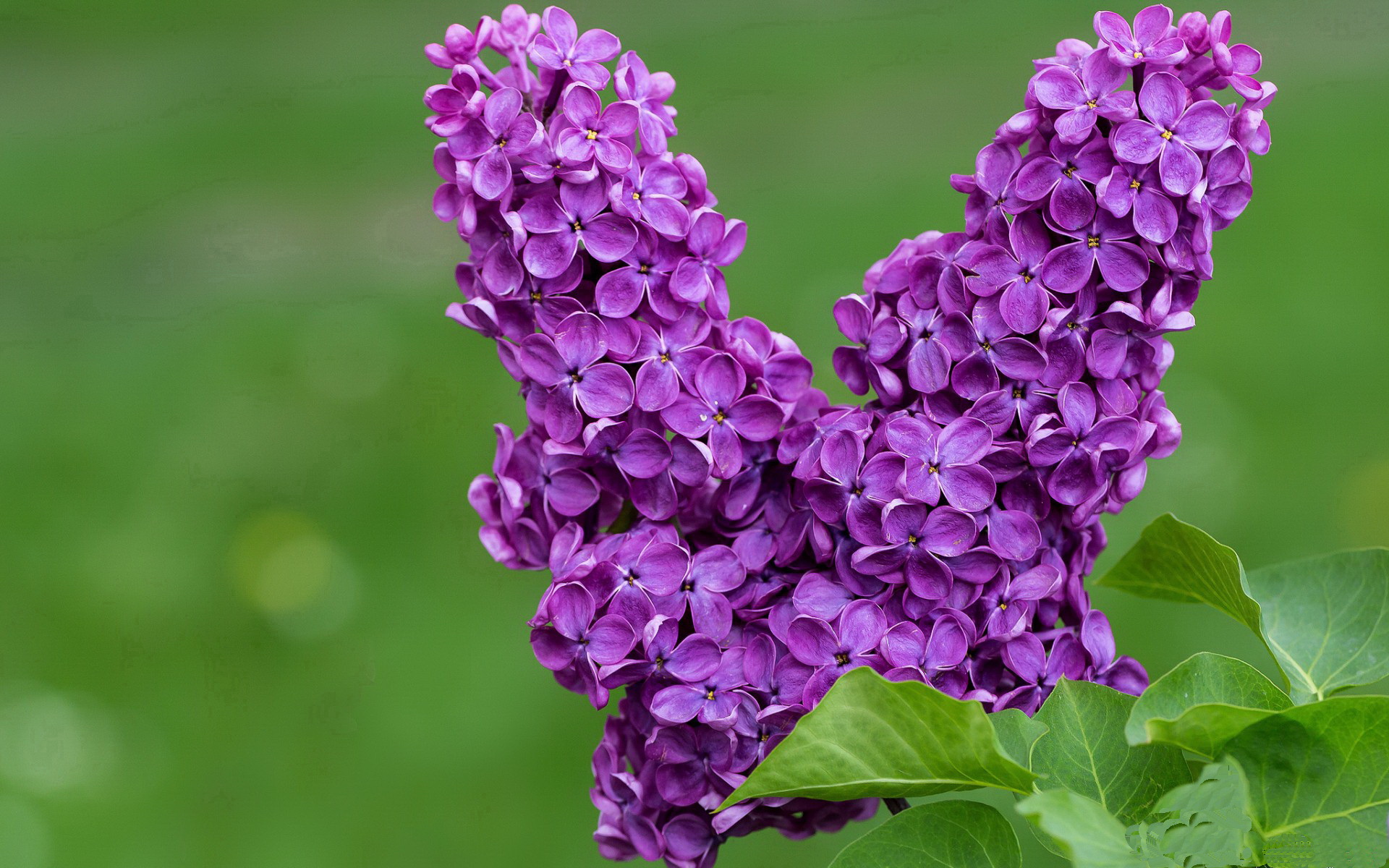 中国足球俱乐部联动地方社区推进青训计划,足协青训中心