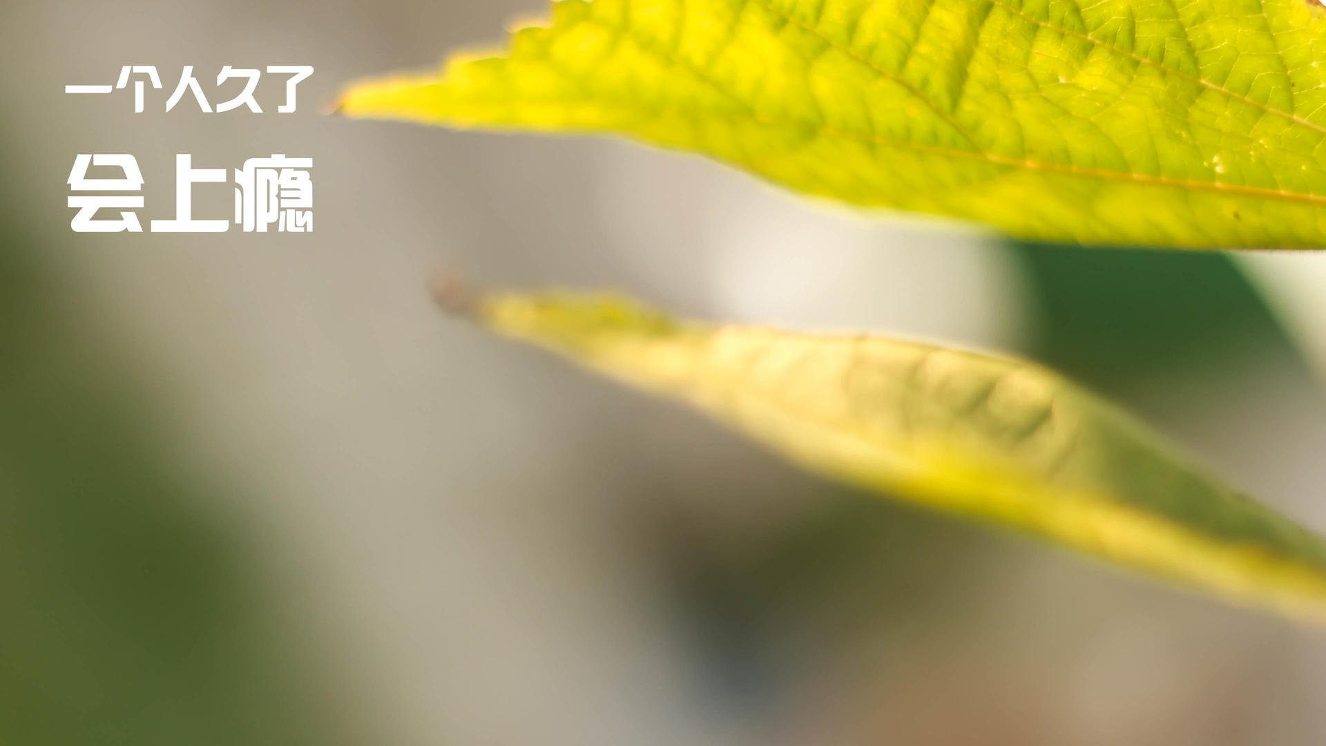 国家排球协会通知青少年技术测试标准试行细则，青少年运动技能等级标准排球