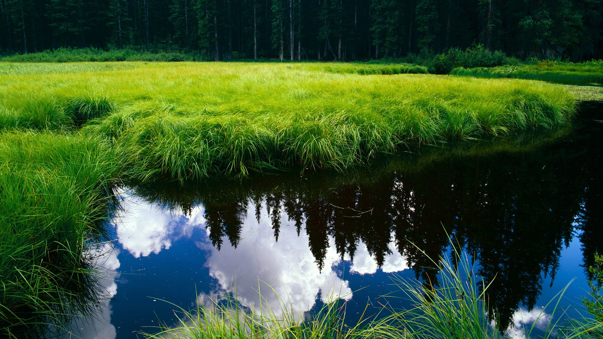 国家排球协会通知青少年技术测试标准试行细则，青少年运动技能等级标准排球