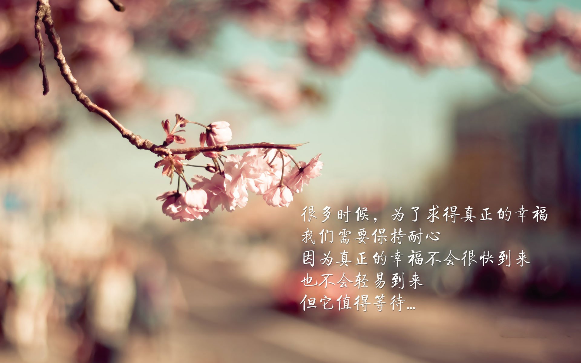 女子篮球青年队加强抢断训练提升防守效率,女子篮球队选拔测试项目