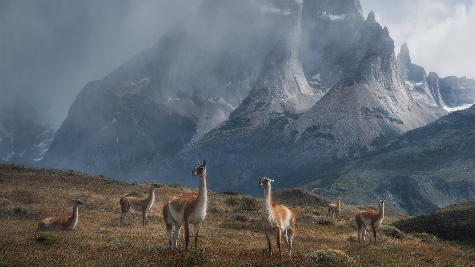九游娱乐中心-新西兰全黑队球员间默契配合，极具战术执行力，新西兰的球队