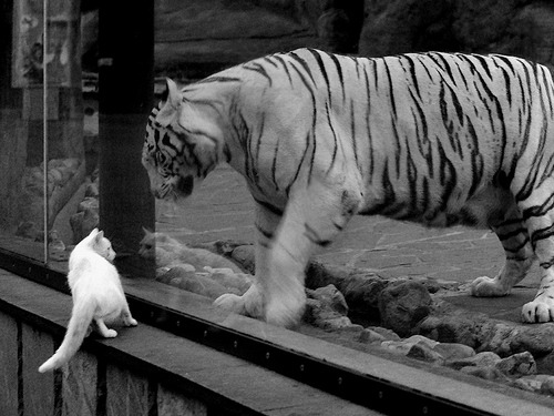 篮球青训基地揭牌仪式在多地同步举行,青年篮球培训基地