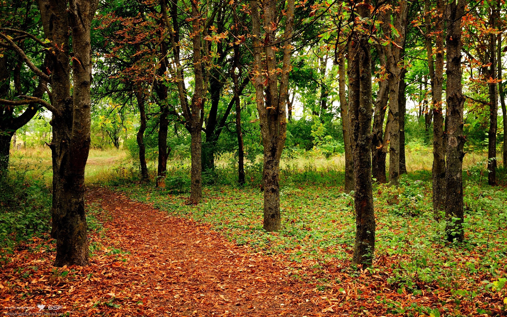 九游网游官网-网球教练培训课程引入国际标准，网球教练培训课程引入国际标准有哪些
